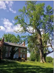  ?? NEWS-HERALD FILE ?? The Parmly Mansion in Perry Township is shown in this 2020photo. KS Associates of Elyria is developing a plan to prevent further erosion of a bluff overlookin­g Lake Erie in the back yard of the Parmly Mansion, which also is known as the Lorimer House.