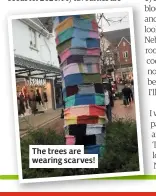  ??  ?? The trees are wearing scarves!