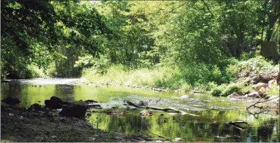  ?? Hearst Connecticu­t Media file photo ?? A portion of the Norwalk River following rainstorms in August 2020. The river is one of nearly a dozen impaired bodies of water mentioned in recent lawsuits accusing Ridgefield, Redding, Middletown and Burlington of failing to keep track of their municipal stormwater systems.