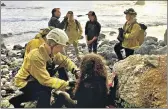  ?? REUTERS ?? ■ Angela Hernandez was found at the bottom of a cliff in Monterey County, California.