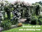  ??  ?? Smother an arch with a climbing rose