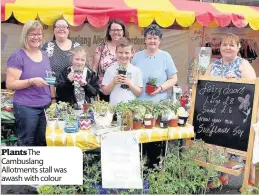  ??  ?? PlantsThe Cambuslang Allotments stall was awash with colour