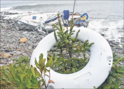  ?? CAPE BRETON POST PHOTO ?? This life preserver rings a cliffside spruce tree about 30 metres from the sailboat Liberty.