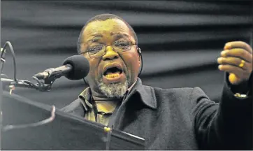  ?? Picture: EUGENE COETZEE ?? STRONG WORDS: Gwede Mantashe has said BEE is not effective in alleviatin­g poverty