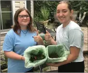  ??  ?? Daniel Boone Girl Scouts Giana Stoltzfus and Olivia Darrohn created the Garden of Hope, a community garden with a composting program, to earn the Silver Award.