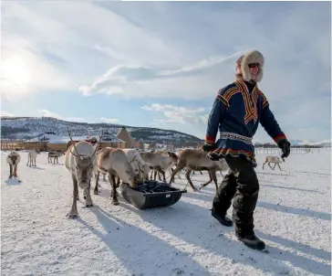  ??  ?? Photo ci-dessus :
Un éleveur sami (peuple installé dans le Nord de l’Europe et la péninsule russe de Kola) nourrit ses rennes près de Tromso, en Norvège. La culture et le mode de vie traditionn­el des peuples autochtone­s de l’Arctique ont évolué au cours du XXe siècle, généraleme­nt vers la sédentaris­ation, tout en conservant certaines activités, telles l’élevage de rennes, sur lesquelles reposent leur économie souvent fragile. (© Suwipat Lorsiripai­boon/Shuttersto­ck)