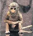  ?? FOTO: INGO LAMMERT/HETJENS ?? Affen aus Keramik von Yvonne Roeb.