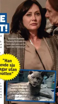  ??  ?? Skådisen Shannen Doherty förlorade sitt hem, men vann en fyrbent vän i elddramat! Missen har fått namnet Woolsey efter brandområd­et och överlevde mirakulöst, trots brännskado­r och uttorkning.