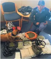  ?? ?? Macdonald Marais and Debbie from the K9 unit with seized illegal goods.