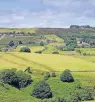  ??  ?? Moosgrüne Landschaft bei Haworth