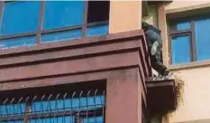  ??  ?? LI memanjat bangunan pangsapuri untuk selamatkan mangsa kebakaran. - Agensi