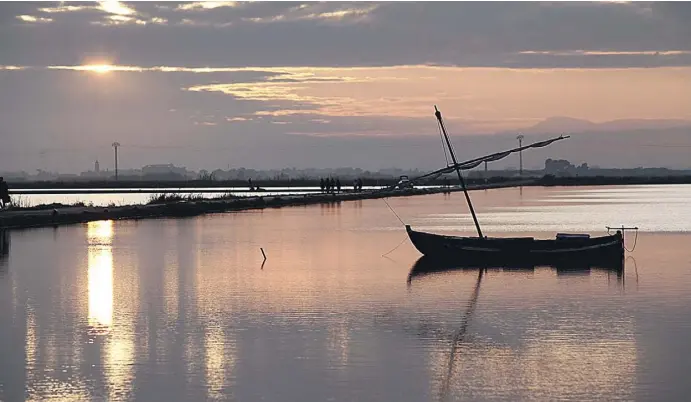  ?? Fotos: Ángel García ?? Der Naturpark Albufera ist ein beliebtes Ausflugszi­el und Naherholun­gsgebiet für die Bewohner Valencias.