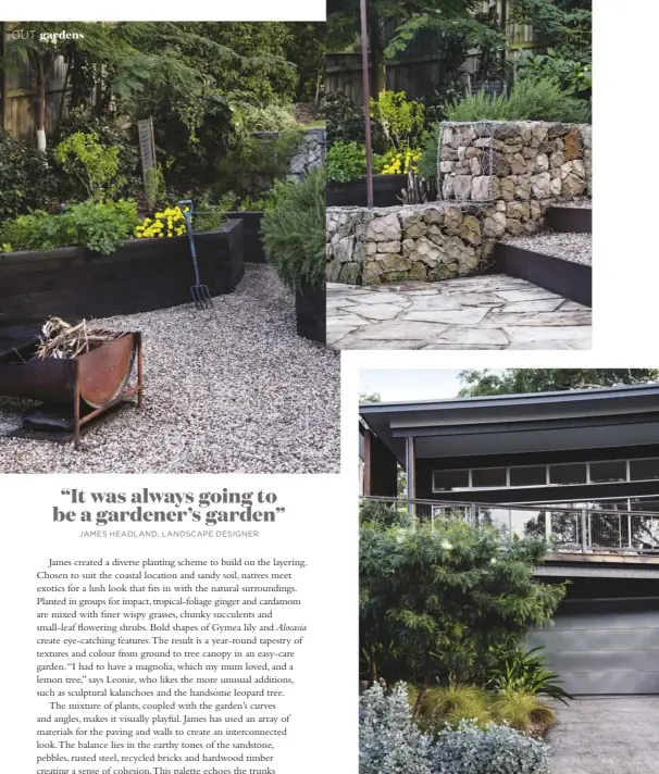  ??  ?? The vegie patch (top left & right) is a family favourite for adding colour and flavour to meals. Out the front, a washed concrete driveway is a minimalist choice. The driveway (above) is bordered by a spray of silver Kalanchoe hildebrand­tii and grassy...