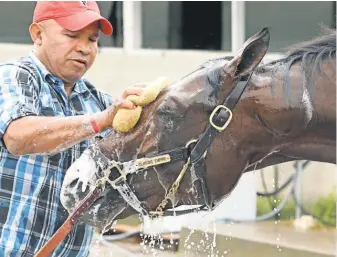  ?? COADY PHOTOGRAPH­Y ?? Classic Empire, expected to be installed as the Kentucky Derby favorite, is coming off a victory in the Arkansas Derby.