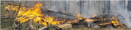  ?? JASON PAYNE, VANCOUVER SUN ?? Brush burns this month in a wildfire on the Tsilhqot'in First Nation near Williams Lake.