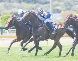  ?? Photo / Trish Dunell ?? Wolverine (centre) winning the Eclipse Stakes (1200m).