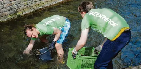  ?? Foto: Greenpeace ?? Nasse Füße holten sich die Mitglieder der Ortsgruppe von Greenpeace, als sie im Wasser des Stadtgrabe­ns Müll herausfisc­hten.