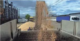  ?? IGOR TKACHENKO/REUTERS FILE ?? A worker loads a truck with grain in June 2022 in Ukraine’s Odesa region. Internatio­nal food prices have fallen sharply from a record peak in March 2022 at the start of Russia’s full-scale invasion of fellow crop exporter Ukraine.