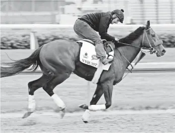  ?? PAT MCDONOGH, THE (LOUISVILLE) COURIER-JOURNAL ?? Nyquist, above, seeks to follow the path of American Pharoah, who in 2015 became the first Triple Crown winner in 37 years. The journey begins with Saturday’s Kentucky Derby.