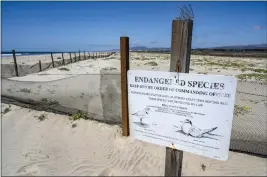  ?? ?? A 3-mile stretch of shoreline at Camp Pendleton is cordoned off as endangered species habitat for the Western snowy plover and California least tern.