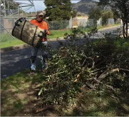  ?? PHOTO BY BARBARA HARRISON ?? Tom Harrison volunteers five mornings a week to keep a San Rafael path neat and clean for his neighbors.