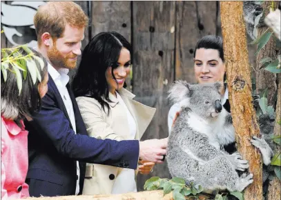  ?? Dean Lewins ?? The Associated Press Britain’s Prince Harry and Meghan, Duchess of Sussex, meet Ruby, a mother koala who gave birth to a joey named Meghan, during a visit Tuesday to Taronga Zoo in Sydney.
