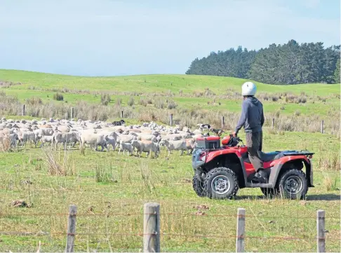  ??  ?? SLOW PROGRESS: Sheep farmers were heavily reliant on support payments as agricultur­al income fell steeply.