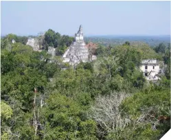  ??  ?? En la otra página, una de las estelas mayas de Tikal. Arriba, el Templo I visto desde el sur. Junto a estas líneas, el ascenso de los turistas hasta el templo V. Abajo a la izquierda, los dibujos de Eusebio Lara, primera imagen gráfica de Tikal.