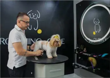  ?? AFP ?? Pet stylist Luiz Renato grooms Shih Tzu dog at a pet shop in Sao Paulo, Brazil, in March.