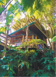  ?? Jeanne Cooper / Special to The Chronicle ?? Gail Armand, a Marin native and Cal alumna, and husband, Robert van Sluis, opened the sustainabl­y built Mahinui Na Lani Treehouse in 2010.