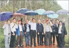  ??  ?? The wet weather did not hamper delegation from the STA Plantation Forest Committee’s schedule to visit APP Ling Gao-Chen Ling Forest Farm in Haikou recently.