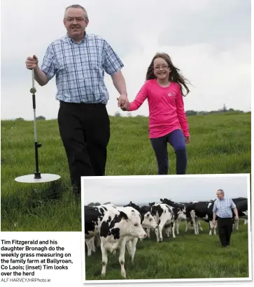  ?? ALF HARVEY/HRPhoto.ie ?? Tim Fitzgerald and his daughter Bronagh do the weekly grass measuring on the family farm at Ballyroan, Co Laois; (inset) Tim looks over the herd