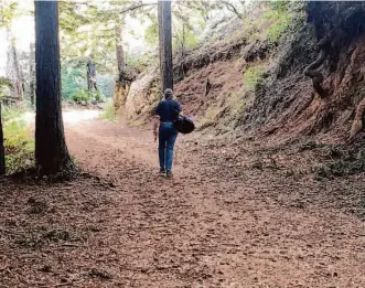  ?? Carl Nolte/The Chronicle ?? A hike on Mount Tamalpais, just outside Mill Valley, offers a respite from city stress.