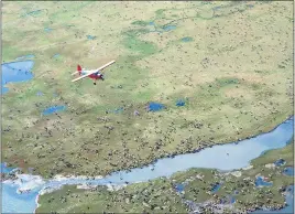  ?? U.S. FISH AND WILDLIFE SERVICE ?? An airplane flies over a caribou herd on the coastal plain of the Arctic National Wildlife Refuge in northeast Alaska. Over the last four decades, Republican­s have attempted to open the refuge to drilling.