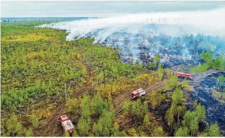  ??  ?? Ein Waldbrand im Naturschut­zgebiet im Bezirk Temnikovsk­y. Umweltschü­tzer hoffen, dass der Herbstrege­n Erleichter­ung bringt.