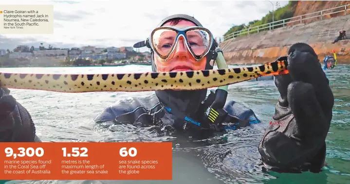  ?? New York Times ?? Claire Goiran with a Hydrophis named Jack in Noumea, New Caledonia, in the South Pacific.