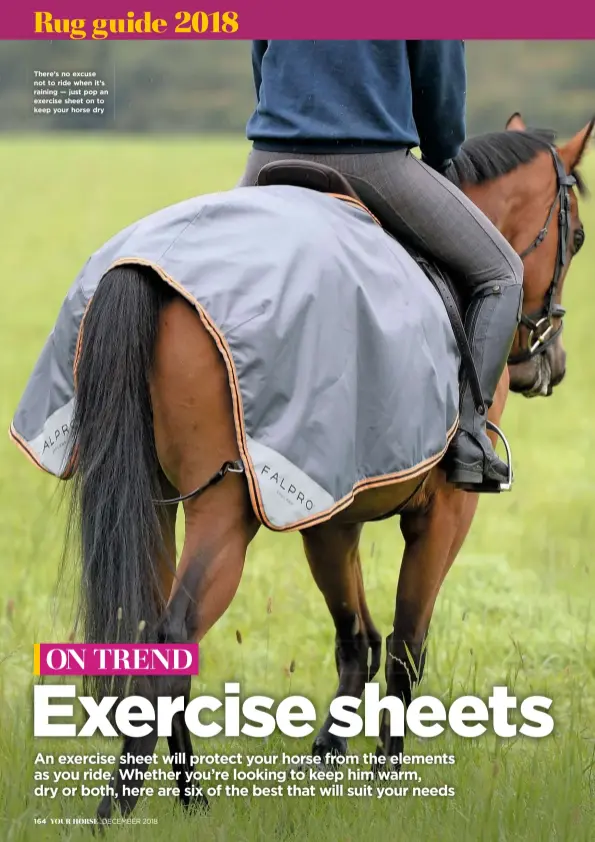  ??  ?? There’s no excuse not to ride when it’s raining — just pop an exercise sheet on to keep your horse dry