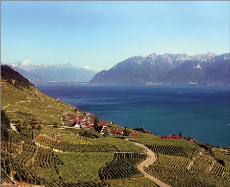  ?? The San Diego Union-Tribune/TNS/JOANNE AND TONY DIBONA ?? The Lavaux terraced vineyards were planted nearly 1,000 years ago on dizzyingly steep slopes along Switzerlan­d’s Lake Geneva. The area is a UNESCO world heritage site.