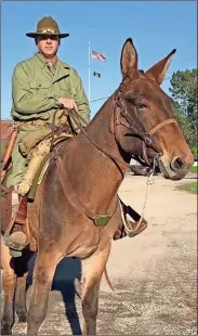  ?? Contribute­d ?? Ross Greenwood and his pack mule, JR, portrayed the Quartermas­ter Corps.