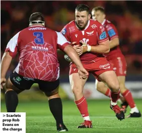  ?? ?? Scarlets prop Rob Evans on the charge