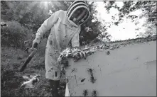  ?? [CARRIE ANTLFINGER/ THE ASSOCIATED PRESS] ?? Beekeeper James Cook works on hives Sept. 23 near Iola, Wis. Cook and his wife, Samantha Jones, have worked with honey bees for several years but started their own business this year — and proceeded with plans even after the coronaviru­s pandemic hit.