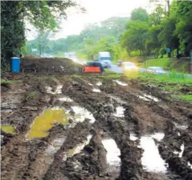  ?? RAFAEL PACHECO ?? Empezaron los trabajos de remoción de árboles para la ampliación de la Ruta 32.