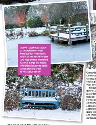  ??  ?? Above, splashes of colour at the pond courtesy of blue-painted Adirondack chairs on the Huck Finn pier and coppiced red-stemmed willows alongside. Below, evergreens and seed heads are enchanting when sprinkled with snow