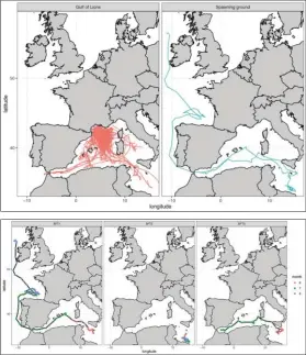  ??  ?? En haut : à gauche on constate le comporteme­nt sédentaire des thons rouges marqués dans le Golfe du Lion comparé à la trajectoir­e des thons taggués sur la zone de reproducti­on maltaise, étant plus gros et disposés à sortir de la Méditerran­ée.
En bas : Les estimation­s des trajectoir­es des trois thons marqués en 2018 au sud de Malte. Notez qu’un spécimen est remonté jusqu’en Irlande. (Rouyer et al. 2020).