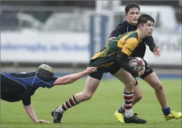  ??  ?? Conal Kervick of Enniscorth­y C.B.S. under pressure from Colman Finlay and Tom Corcoran.