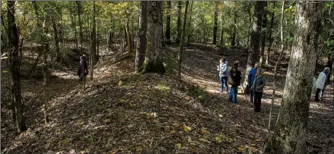  ??  ?? The earth-works structure known as Tate’s Bluff Fortificat­ion is the best preserved earthen fort in Arkansas.