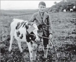  ??  ?? A young handler with a prize-winning heifer from the early 1930s.