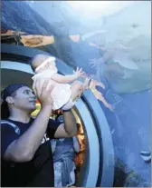  ??  ?? With a little help from Dad Viane Visesio, 5-month-old Amara Visesio of Napili gets up close and personal with a stingray in the Maui Ocean Center’s glass tunnel in 2018.