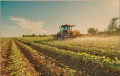  ?? FOTO: SHUTTERSTO­CK ?? ser un mercado al que se tenga que voltear para satisfacer las necesidade­s agrícolas del país.