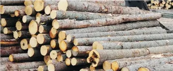  ?? THE CANADIAN PRESS ?? Canada’s wide-ranging complaint to the WTO about the way the U.S. applies punitive tariffs on Canadian softwood lumber exports has infuriated the Americans.
